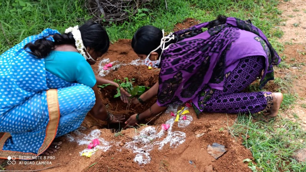 Celebrating land and nature – a tribute from Kaigal Trust